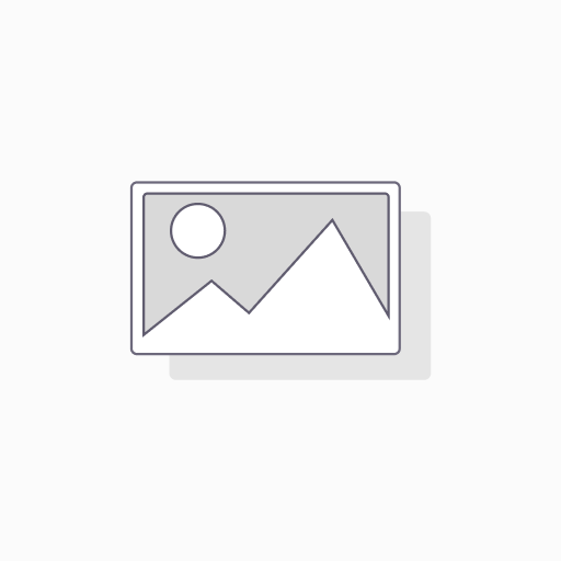 [00000011]  Window Tint